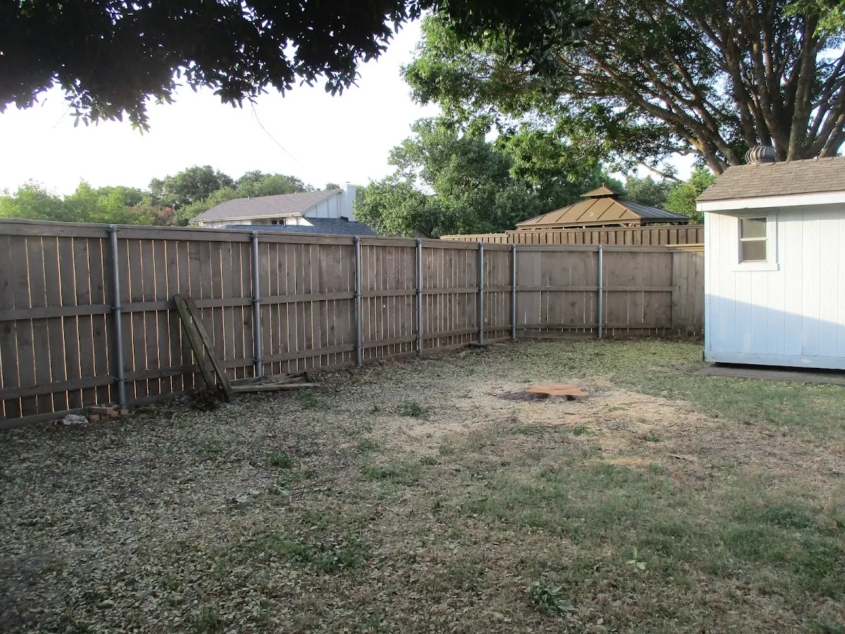 Cleared yard after professional tree removal in Beech Grove