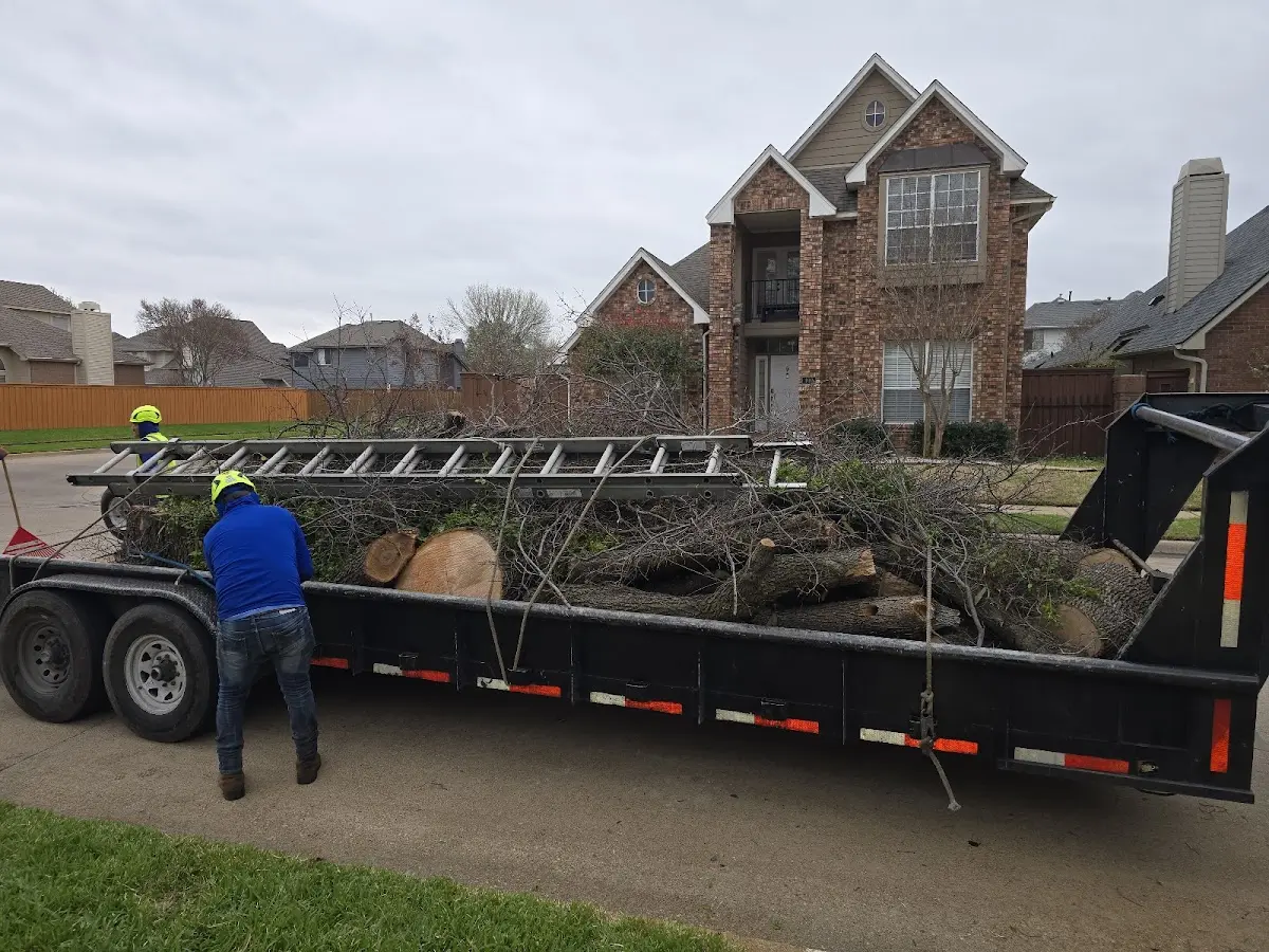Expert Lot Clearing with proper safety equipment in Beech Grove